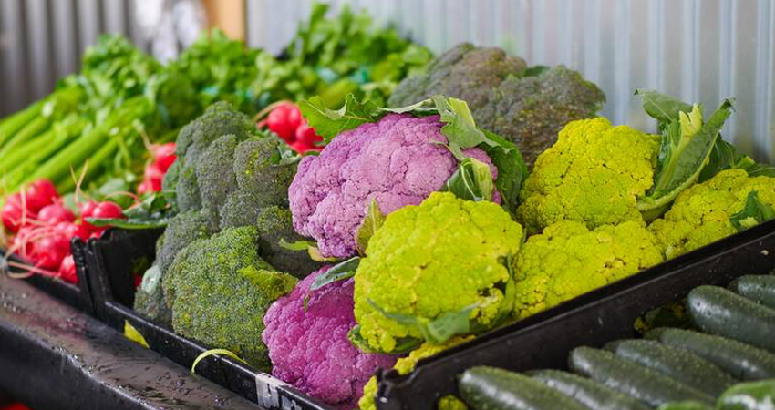 transporte seguro de alimentos perecederos